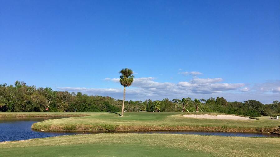 Innisbrook North Course hole 5