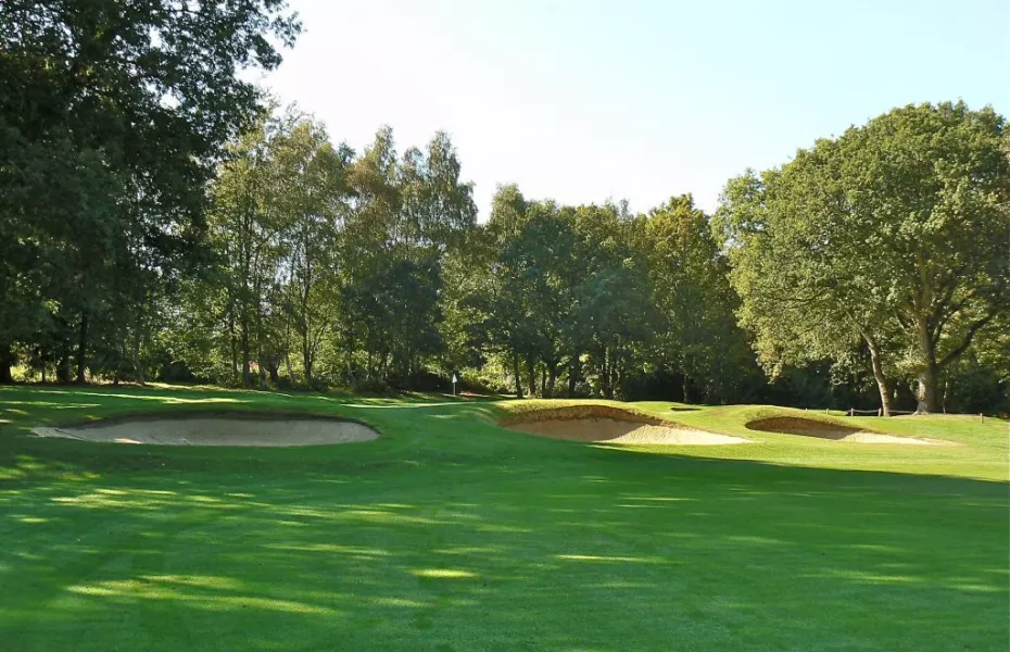 Wildernesse GC: #8