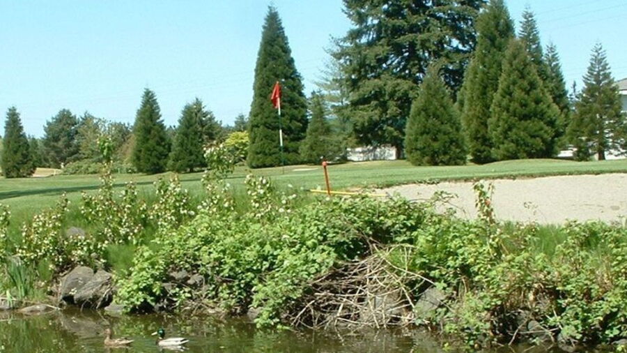 Campbell River GCC: #9