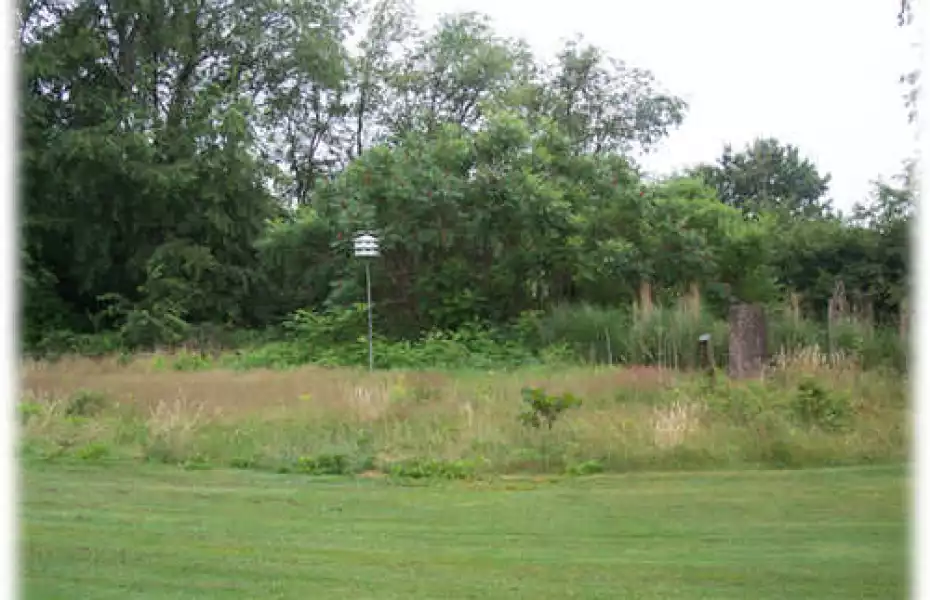 Tam O'Shanter of Pennsylvania