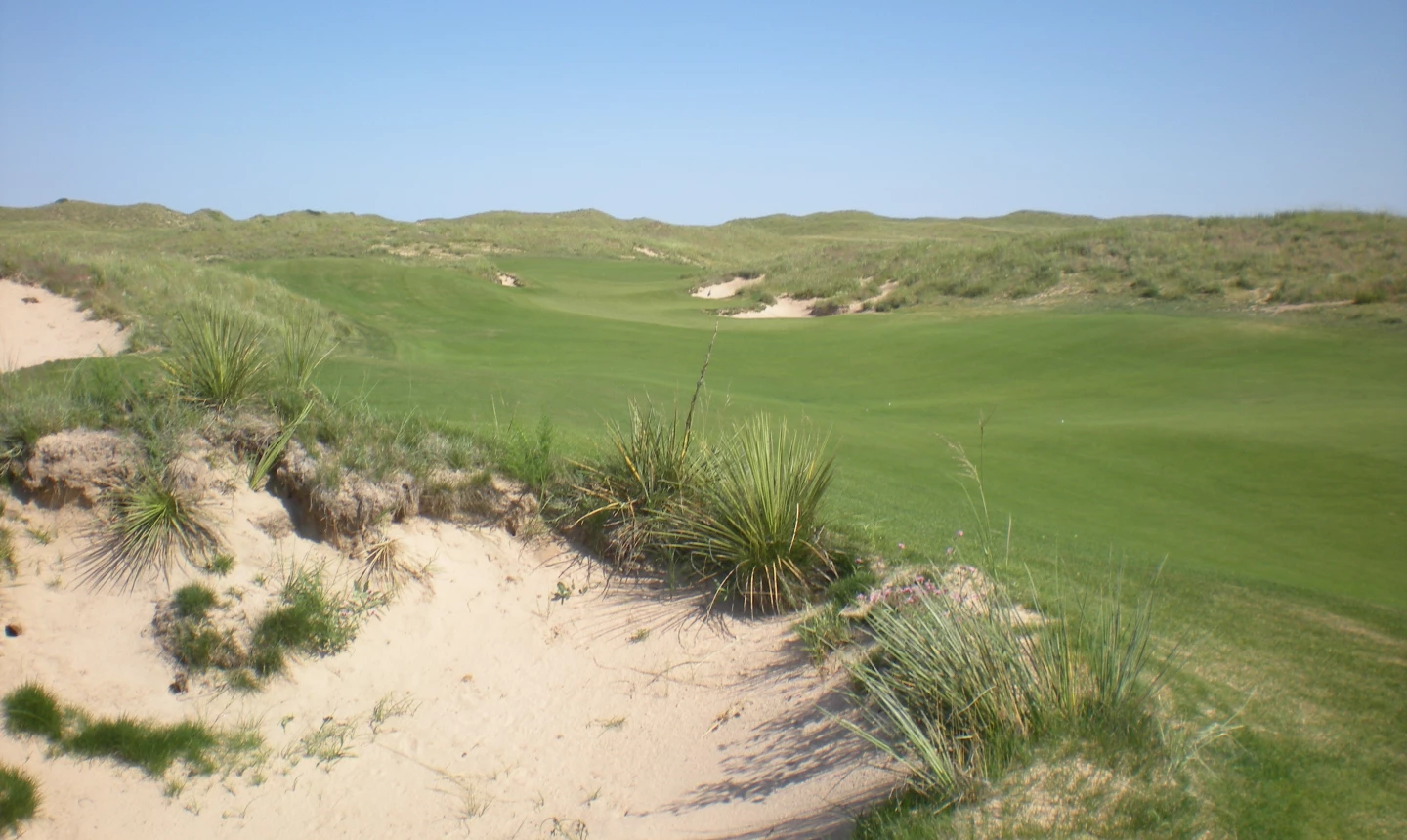 Ballyneal golf course - no. 7