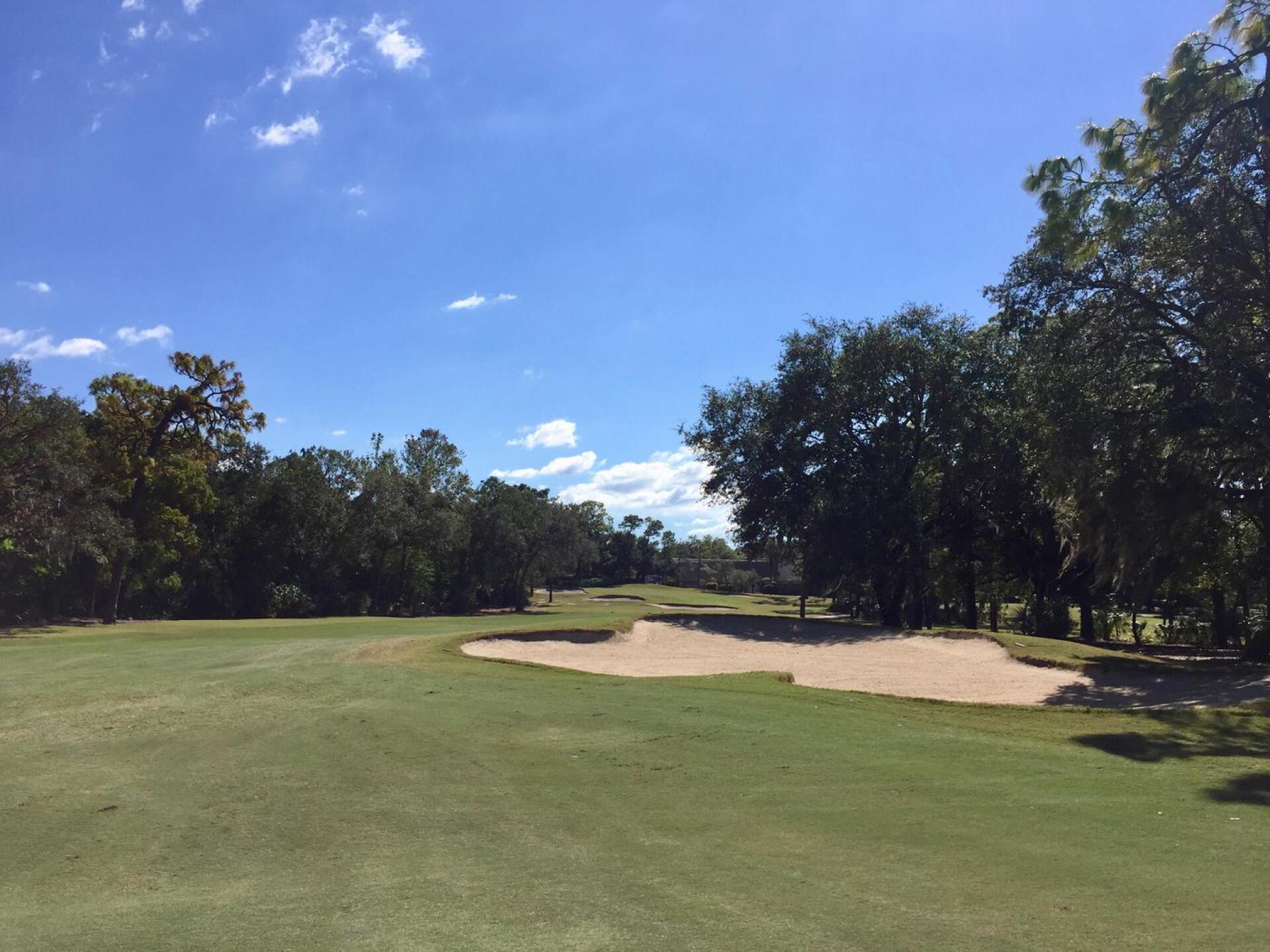 Innisbrook North's short par-5 13th rewards accuracy over brute force. (Photo submitted by TimGavrichGP on 12/20/2017)