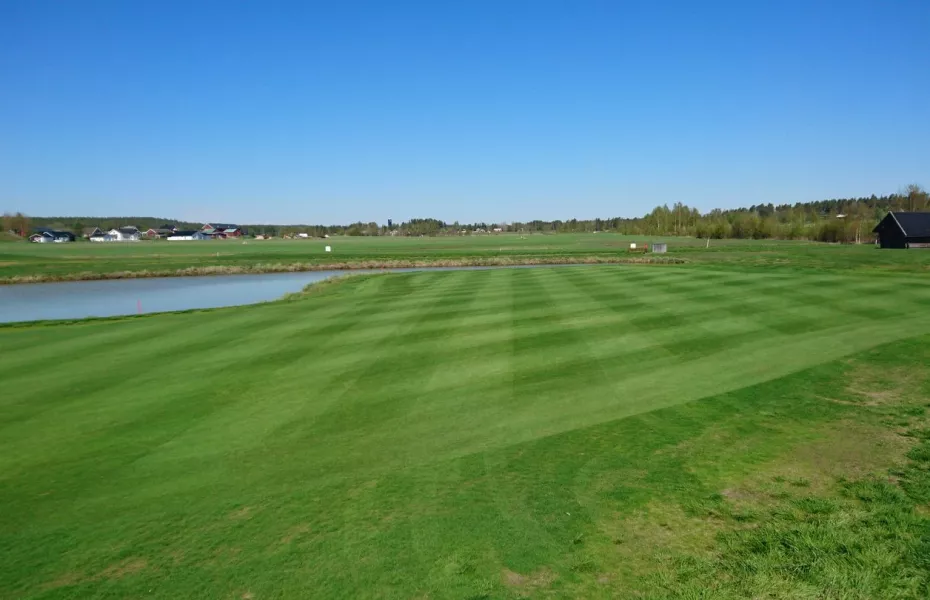 Lulea GC - Ermine: #7