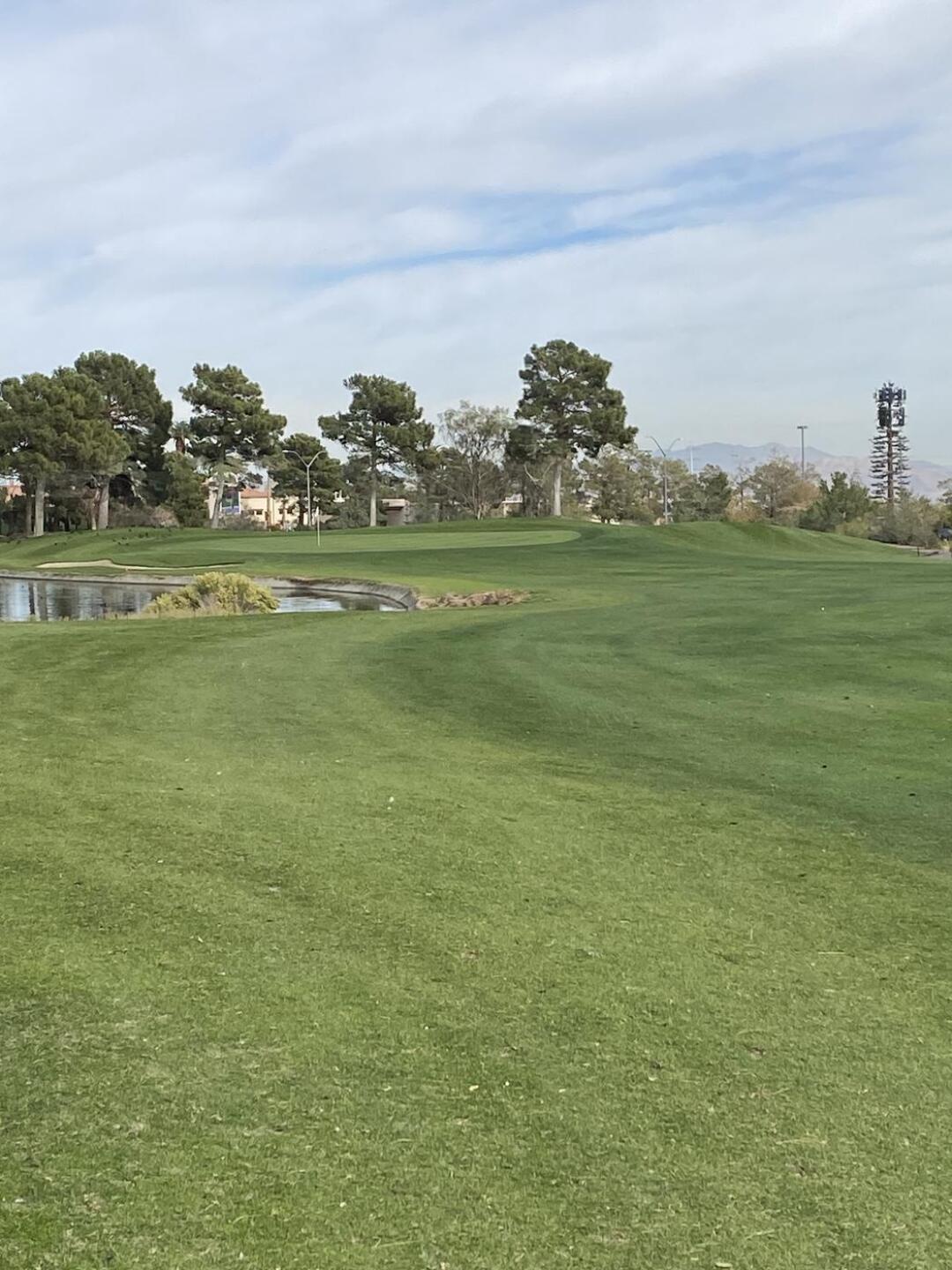 (Photo submitted by captainron1965 on 11/05/2024)