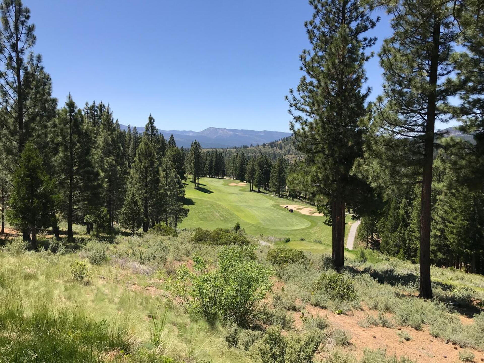First hole. (Photo submitted by JasonDeeganGA on 06/11/2018)