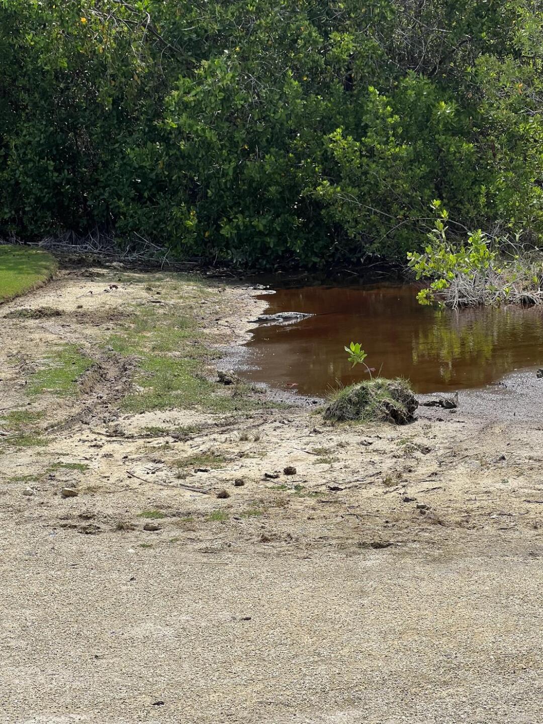 (Photo submitted by u314162442812 on 05/09/2023)