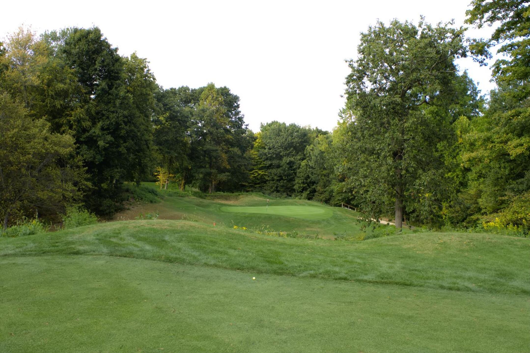 Hole five, a 397-yard four-par, threatedns with a tight driving zone, followed by a brushy pit that must be traversed on the approach. (Photo submitted by AptlyLinked on 09/22/2024)