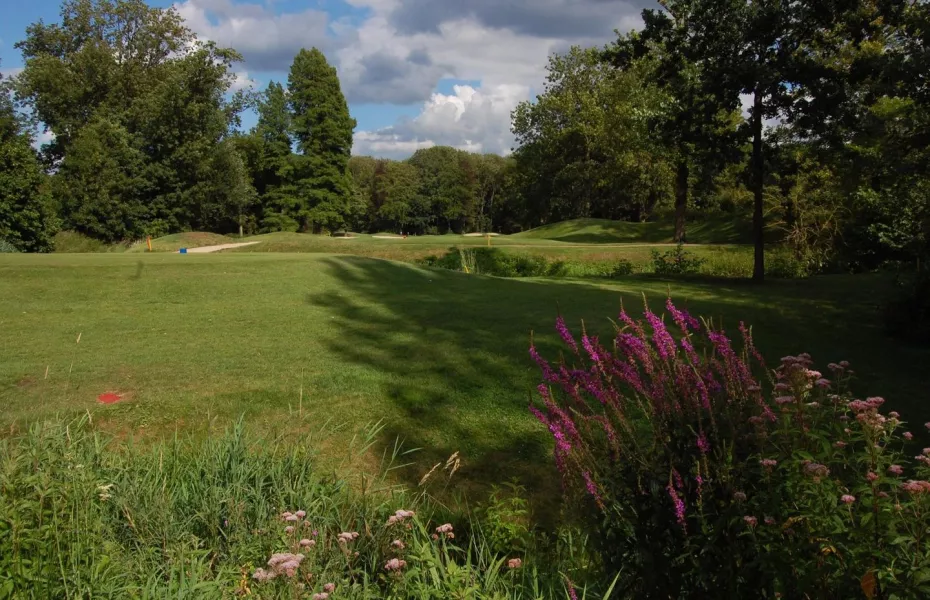 Ternesse GCC - Ternesse