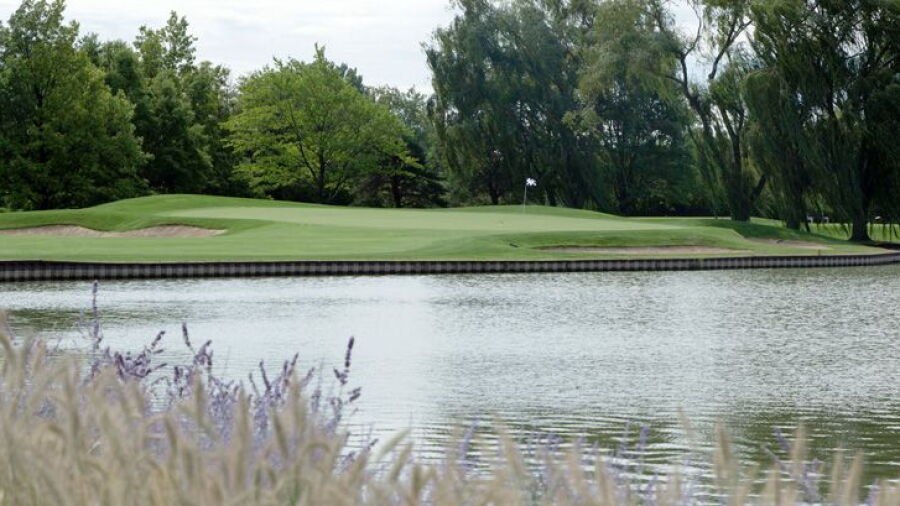 The Grove CC