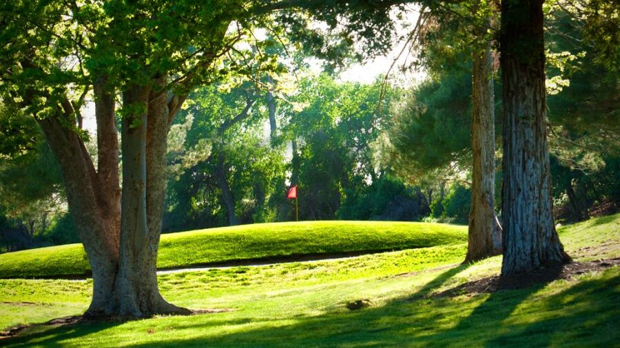 Bidwell Park GC