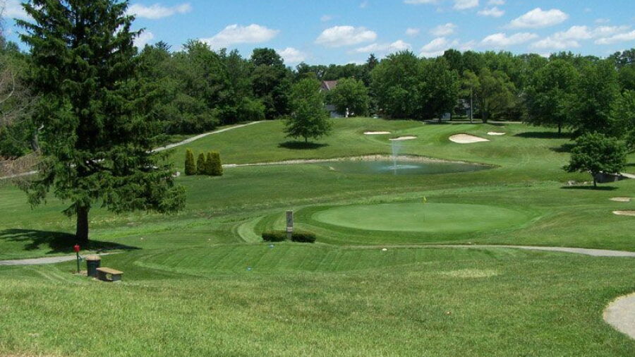Moose GC