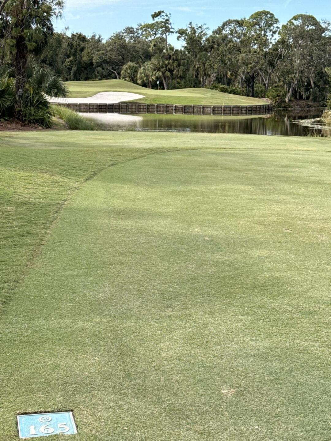 (Photo submitted by JoeMock1 on 11/11/2025)