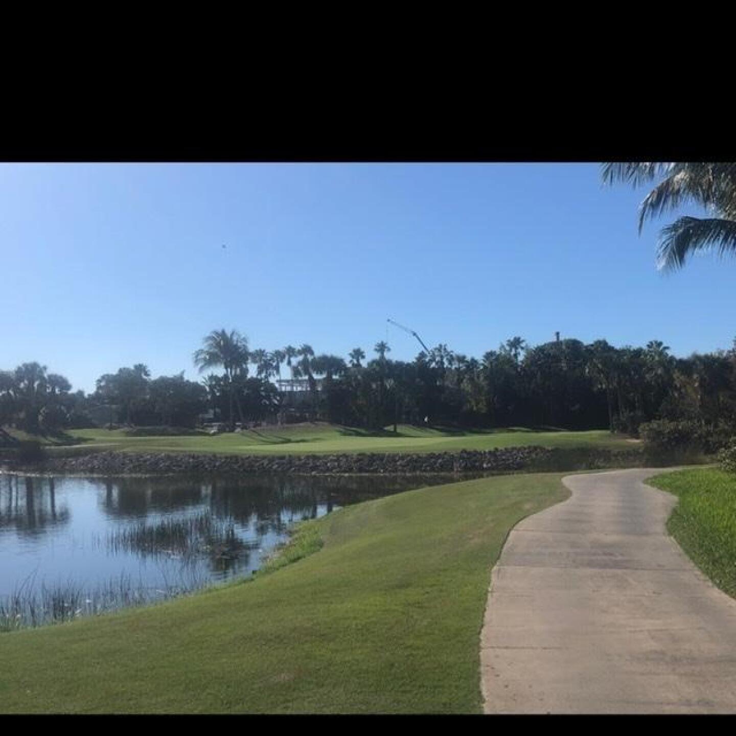 (Photo submitted by lyoung on 01/06/2020)