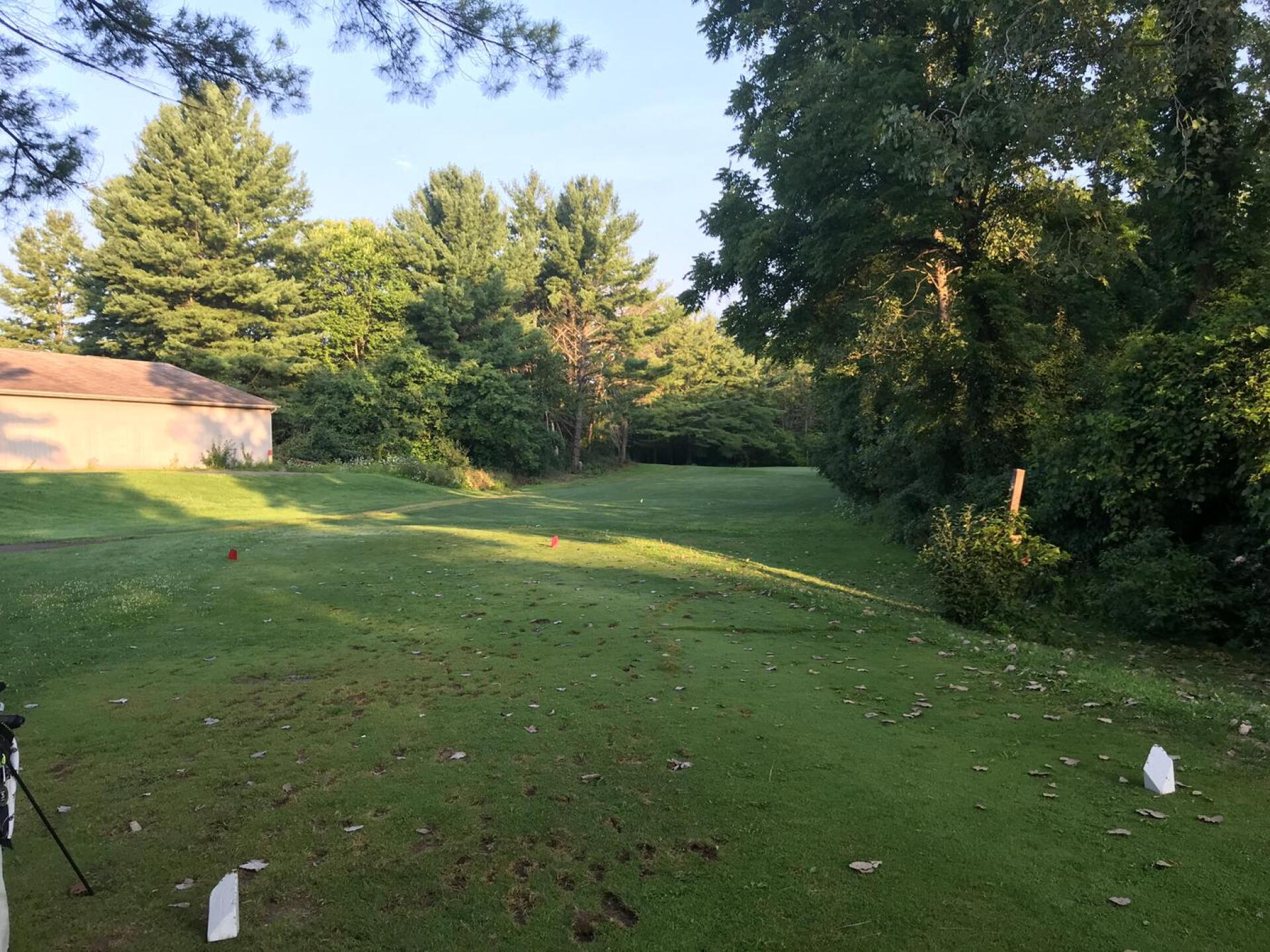 (Photo submitted by BrandonTuckerGA on 08/09/2020)