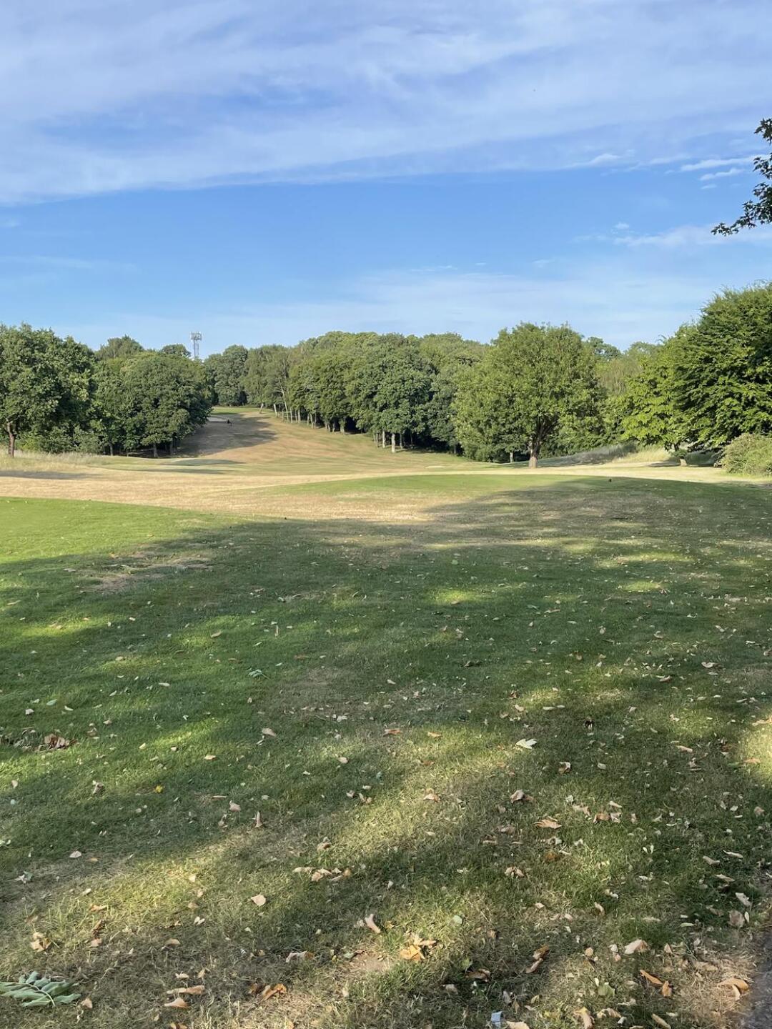 (Photo submitted by nas01 on 06/27/2025)