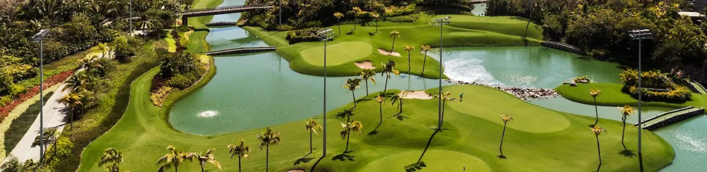 The Lakes at Vidanta Nuevo Vallarta
