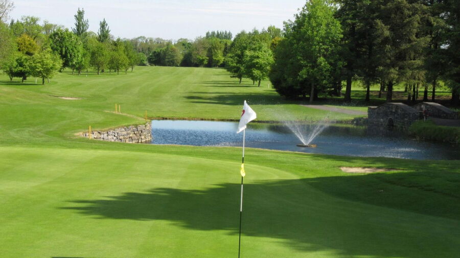 Black Bush GC - B: #9