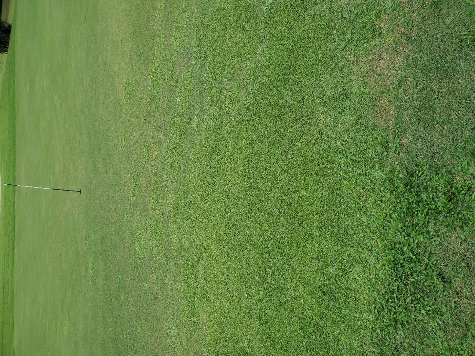 (Photo submitted by SHASHI60 on 10/21/2020)