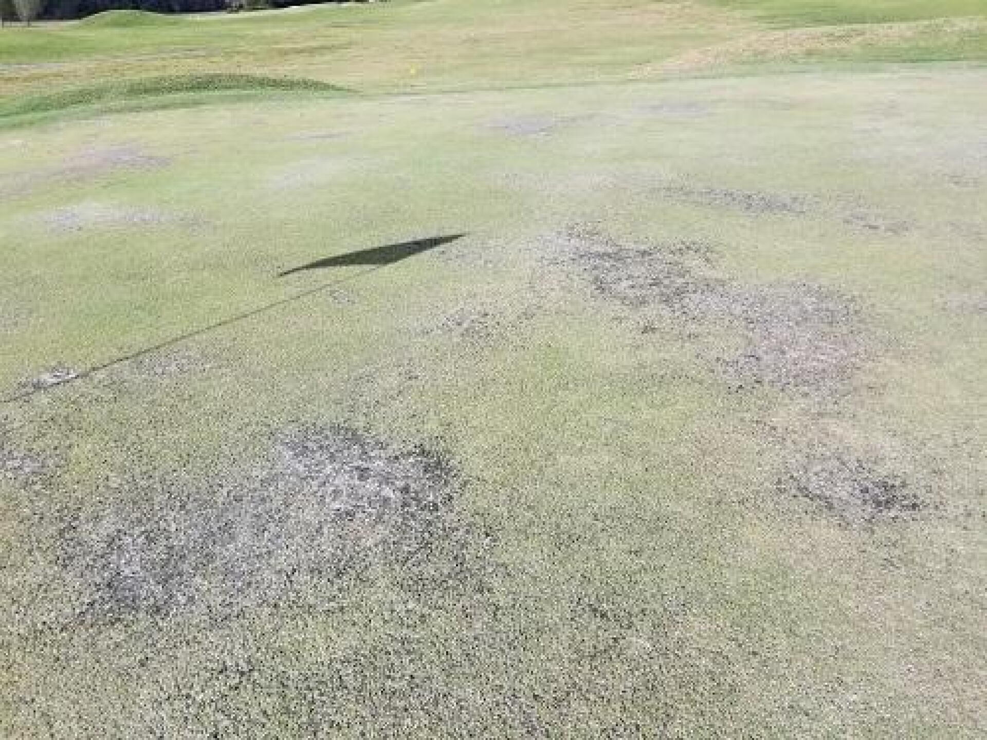 3rd Green (Photo submitted by 23GreyGhost45 on 11/09/2019)