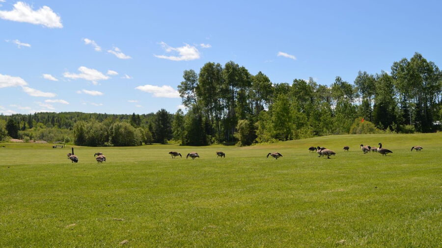 Mattawa GC