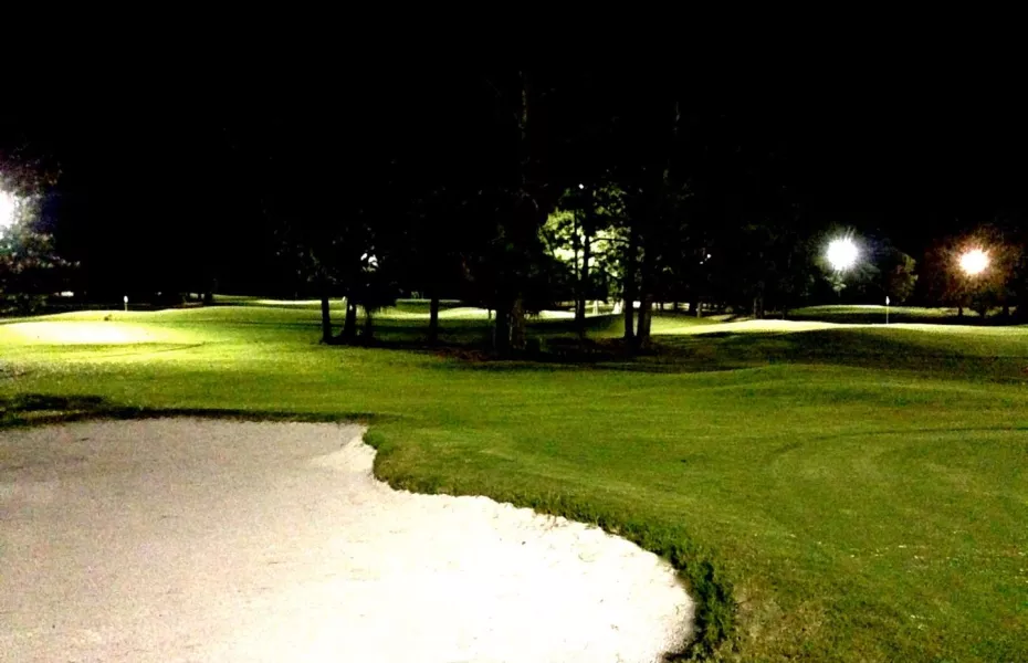 Executive at Holiday GC