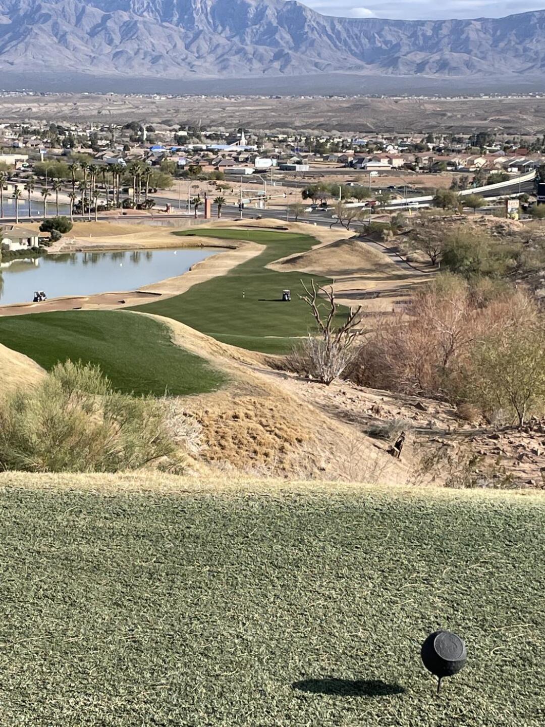 #11 (Photo submitted by Arthur7757239 on 01/20/2022)