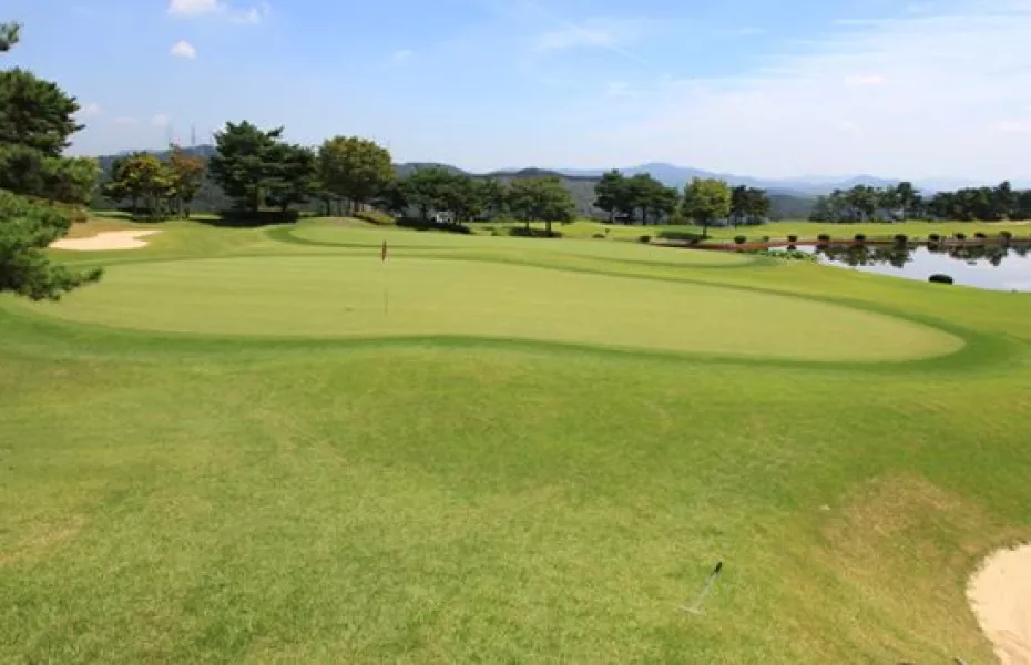 Shinan CC - Tomato: #4