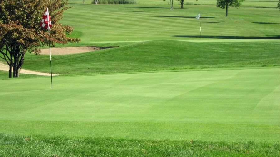 Maple Creek GC: #11