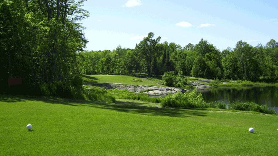 Sly Fox GC: #4