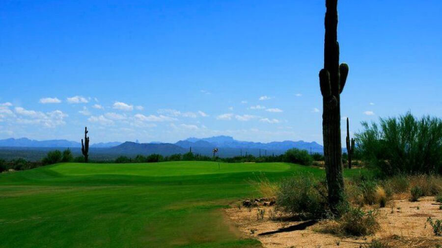 Verde River Golf & Social Club: #8