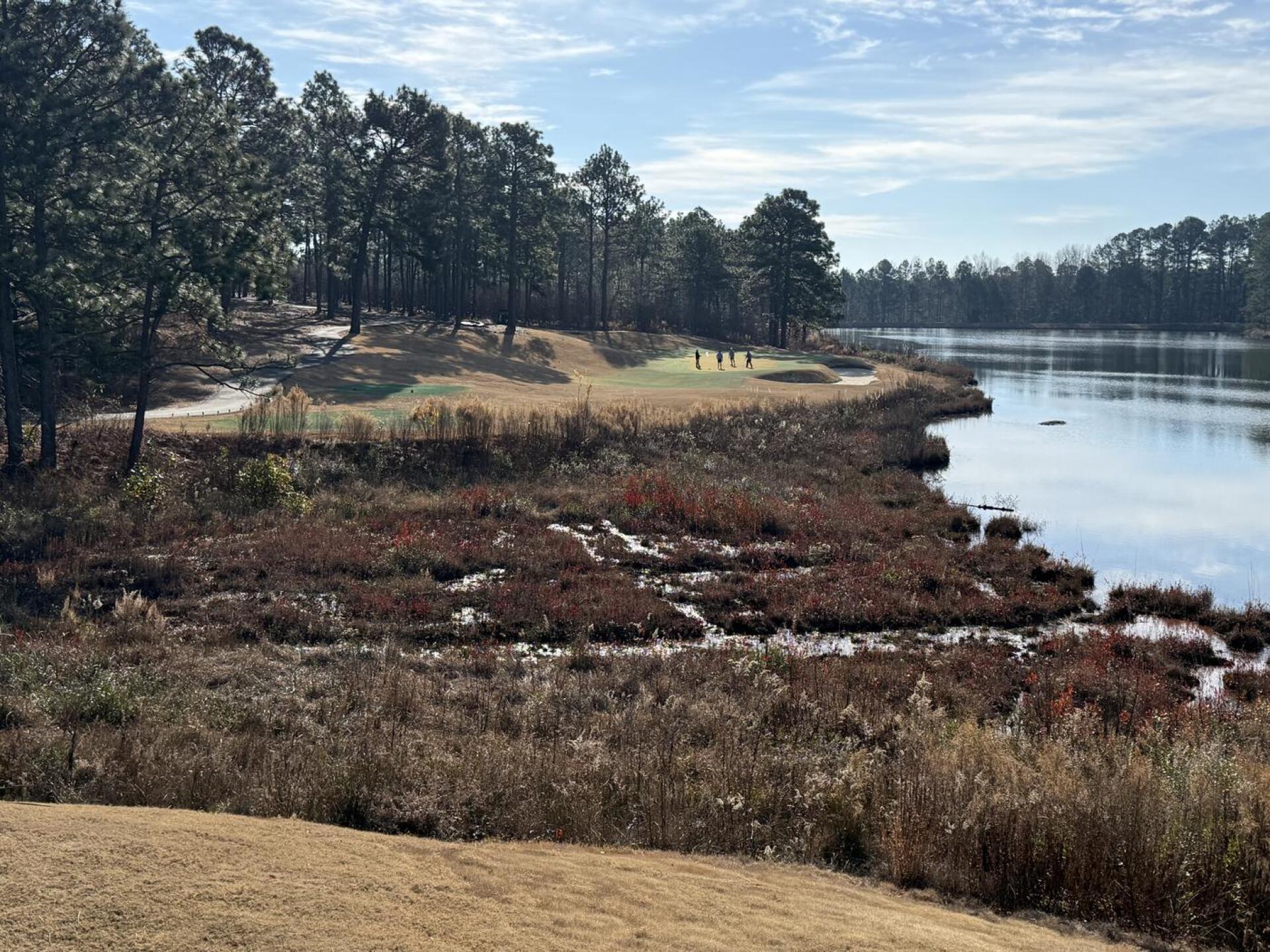 #11 (Photo submitted by u5755008 on 12/27/2025)