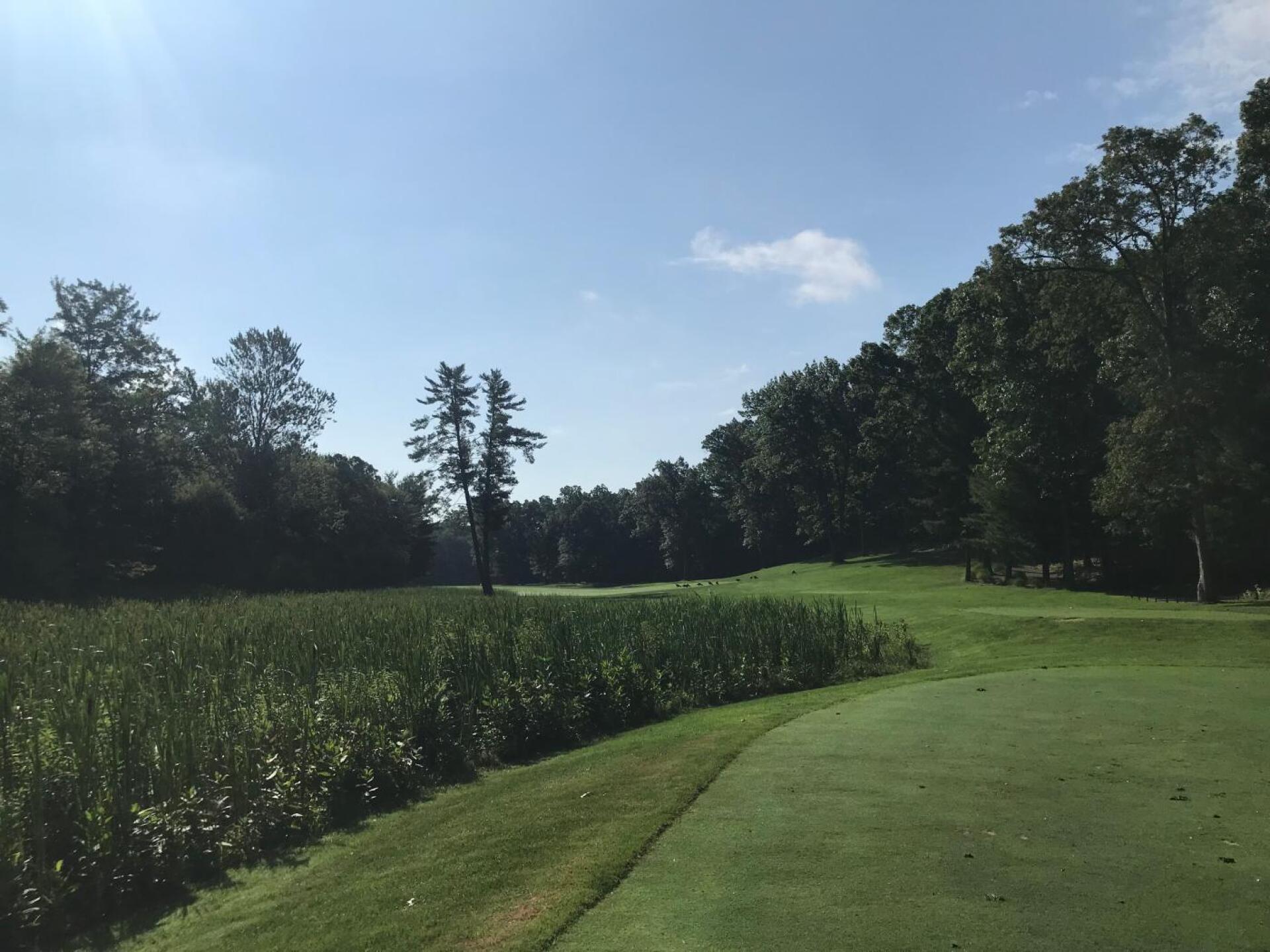 (Photo submitted by Douglas8644418 on 07/28/2019)