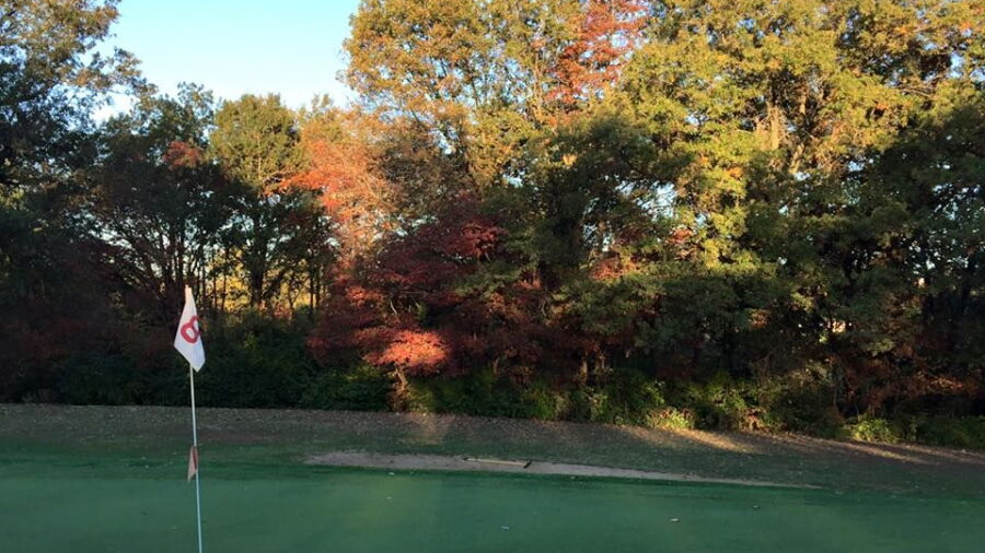 Hillsboro CC: #8