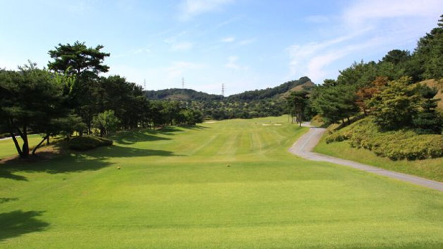 Shinan CC - Apple: #9