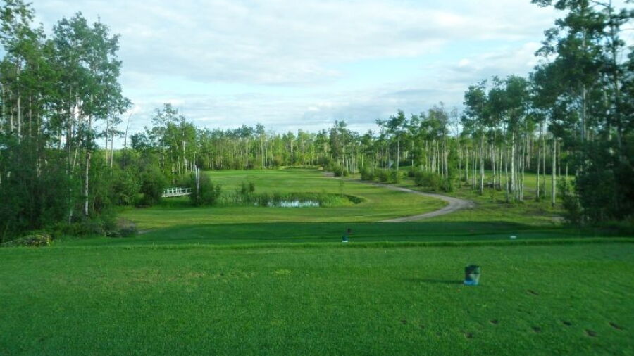 Farmington Fairways: #8