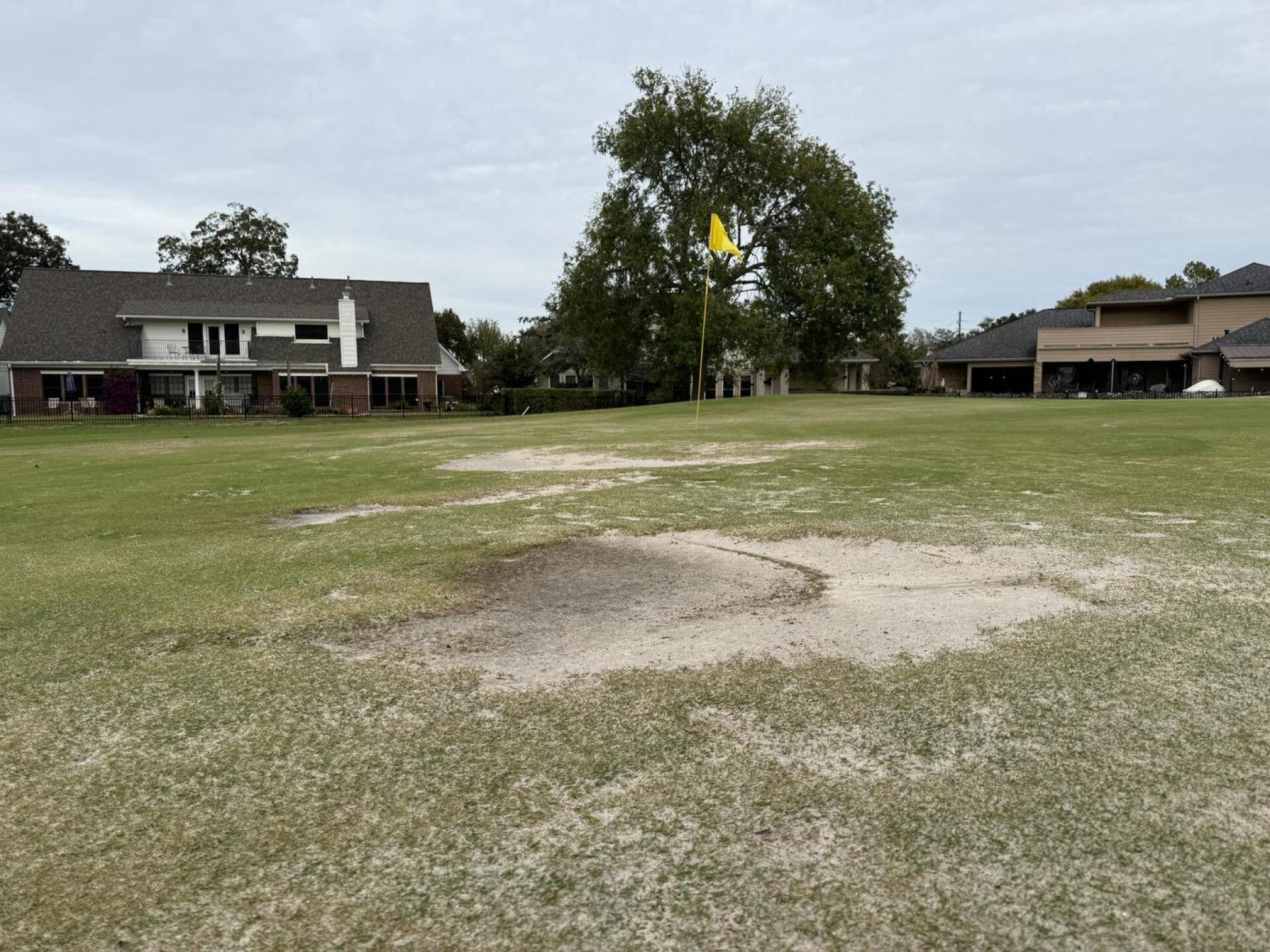 (Photo submitted by daodvu7 on 12/30/2023)