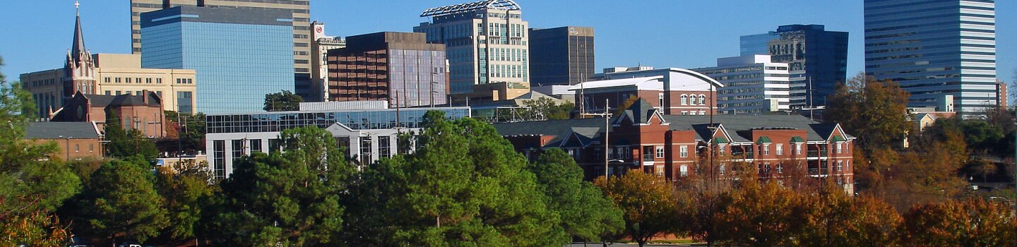 fall-skyline-of-columbia-sc-from-arsenal-hill-1.jpg