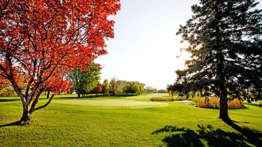 River Falls GC