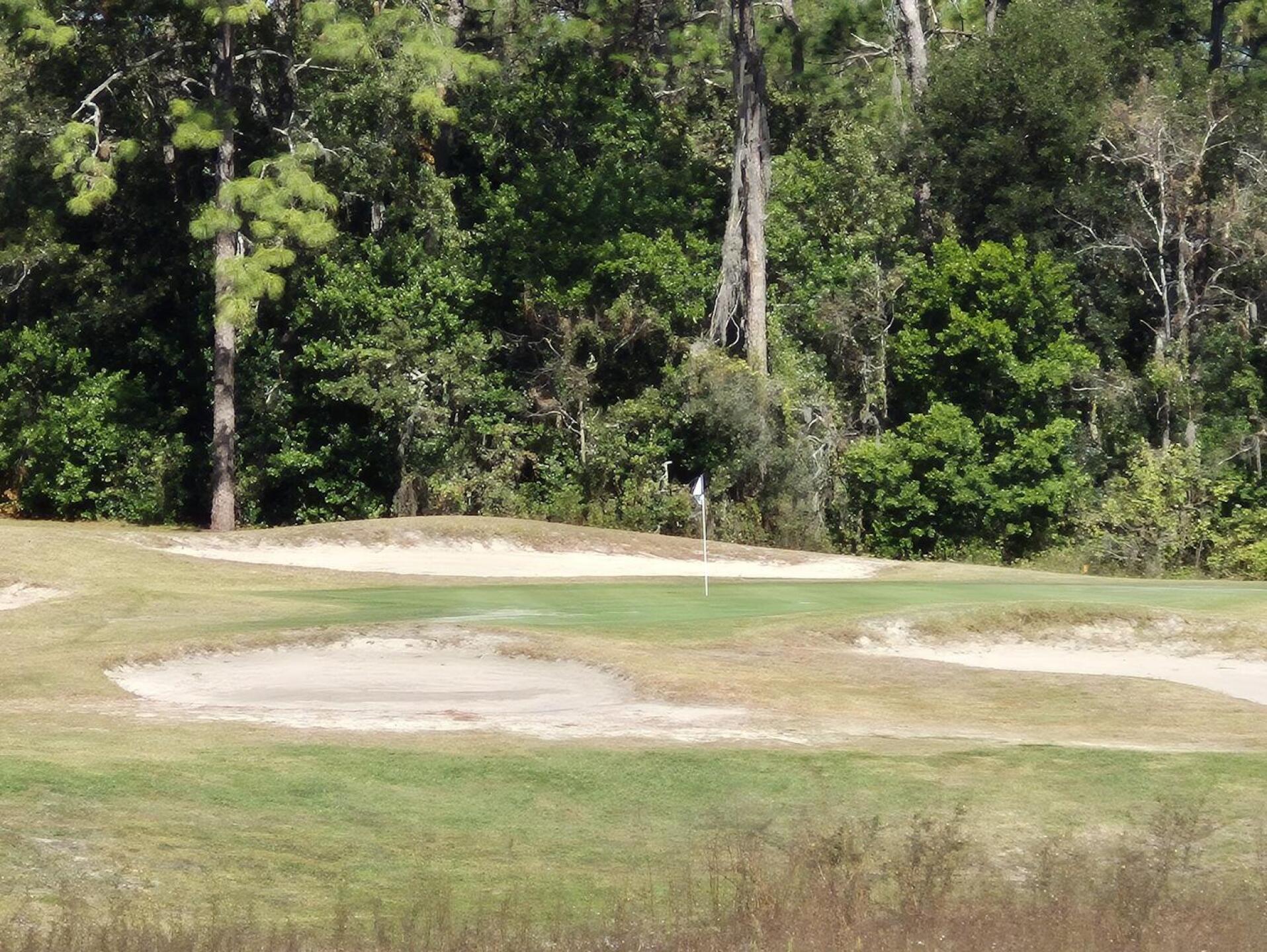 (Photo submitted by alexstock4 on 03/24/2026)