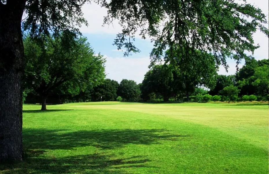 Meadowbrook Park GC: #8