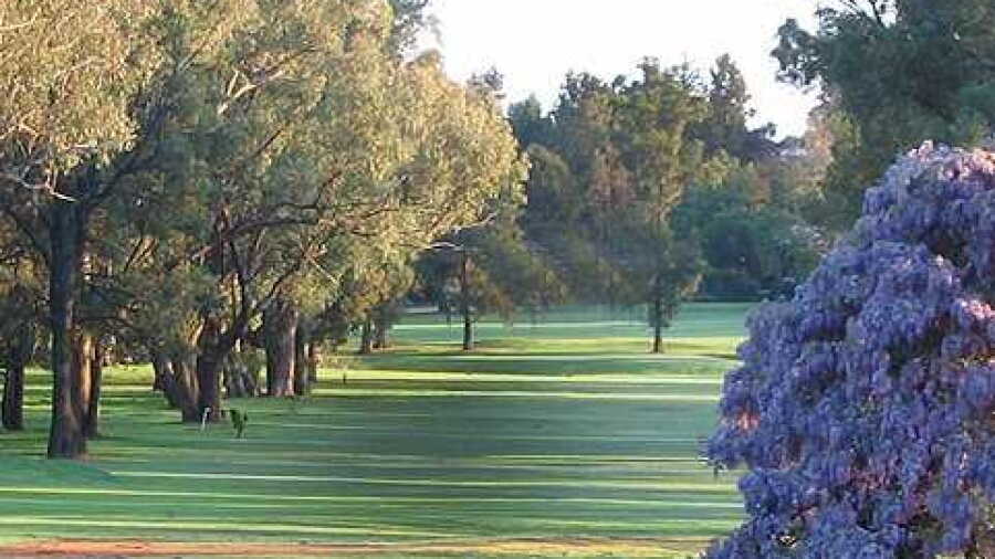 Dubbo GC - Short: #9