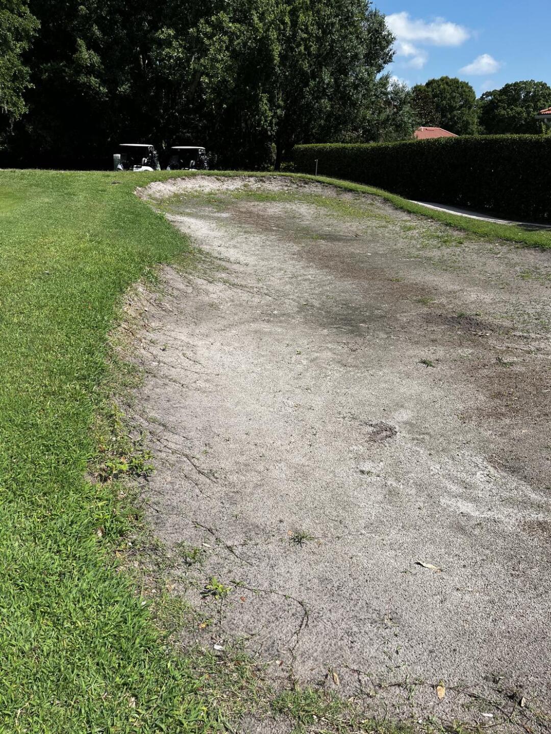 (Photo submitted by mmarciano33 on 05/21/2023)