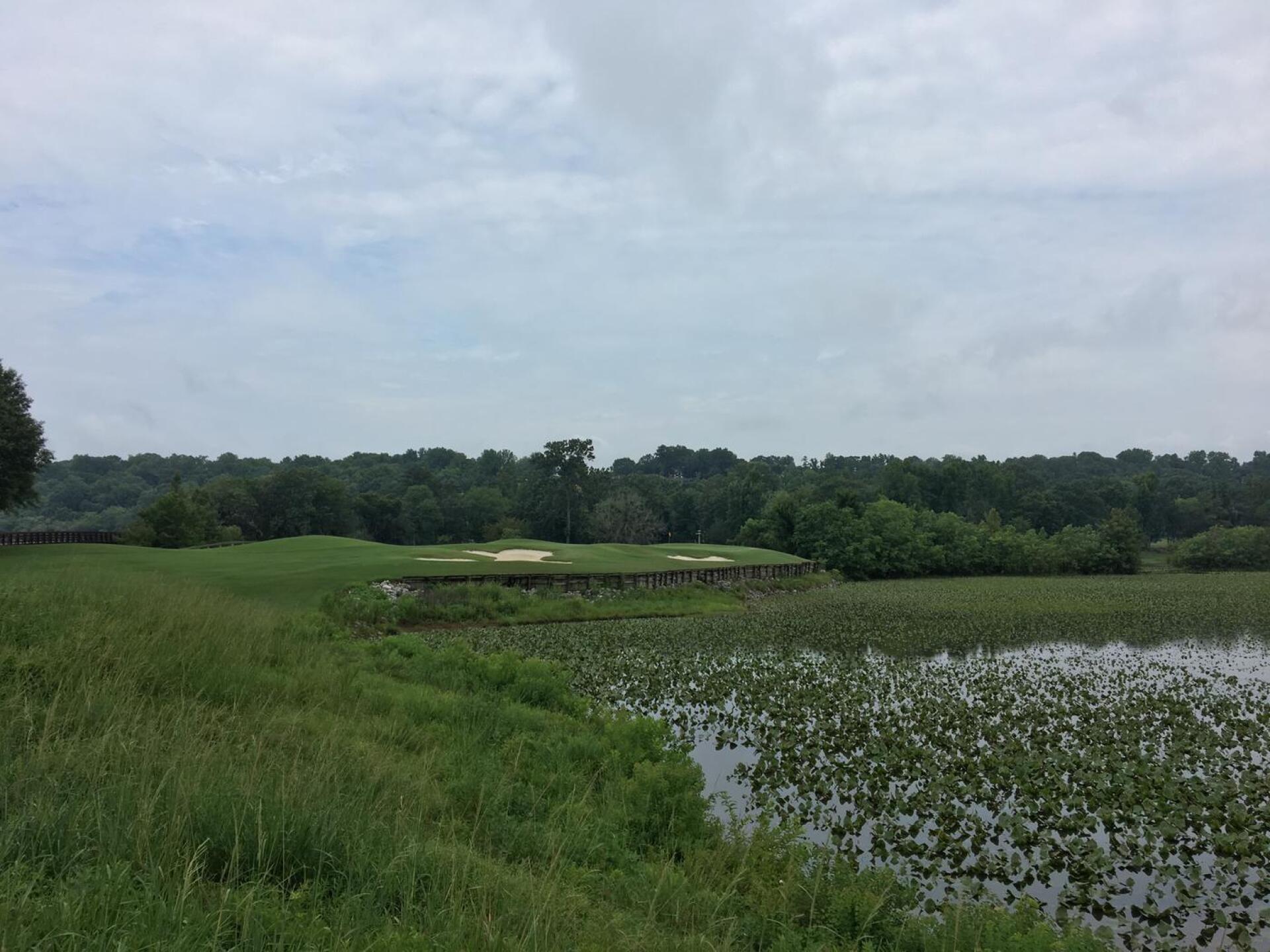 Par-3 sixth hole. Judge (Photo submitted by BrandonWebb on 07/17/2018)