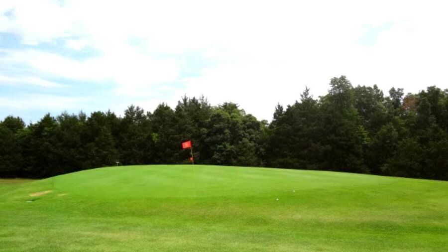 Lost Woods GC: #8