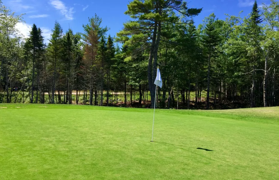Aspotogan Ridge GC: #4