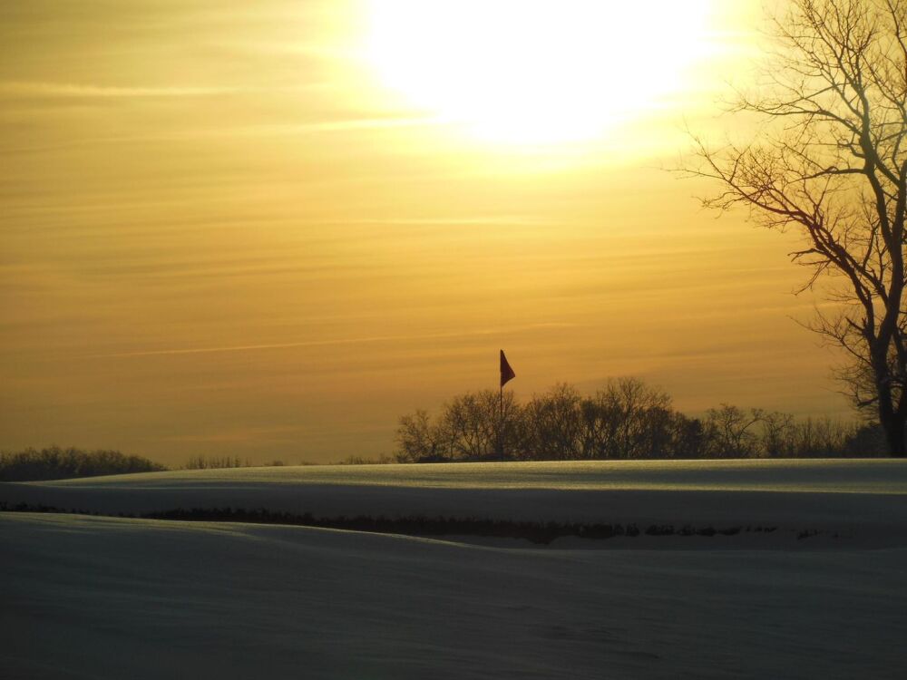 Shennecossett GC: #14