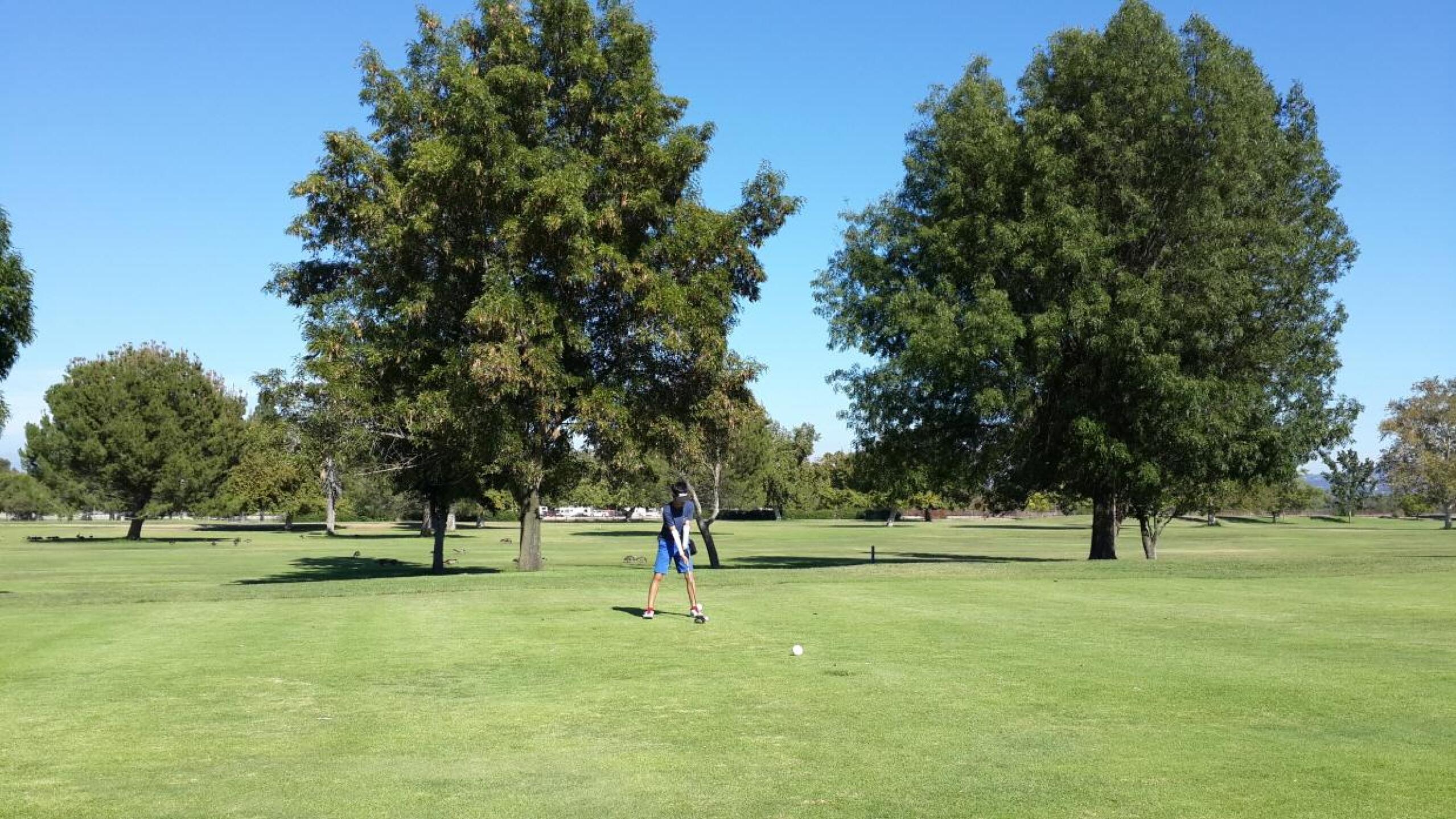 (Photo submitted by DavidChoi on 08/13/2015)