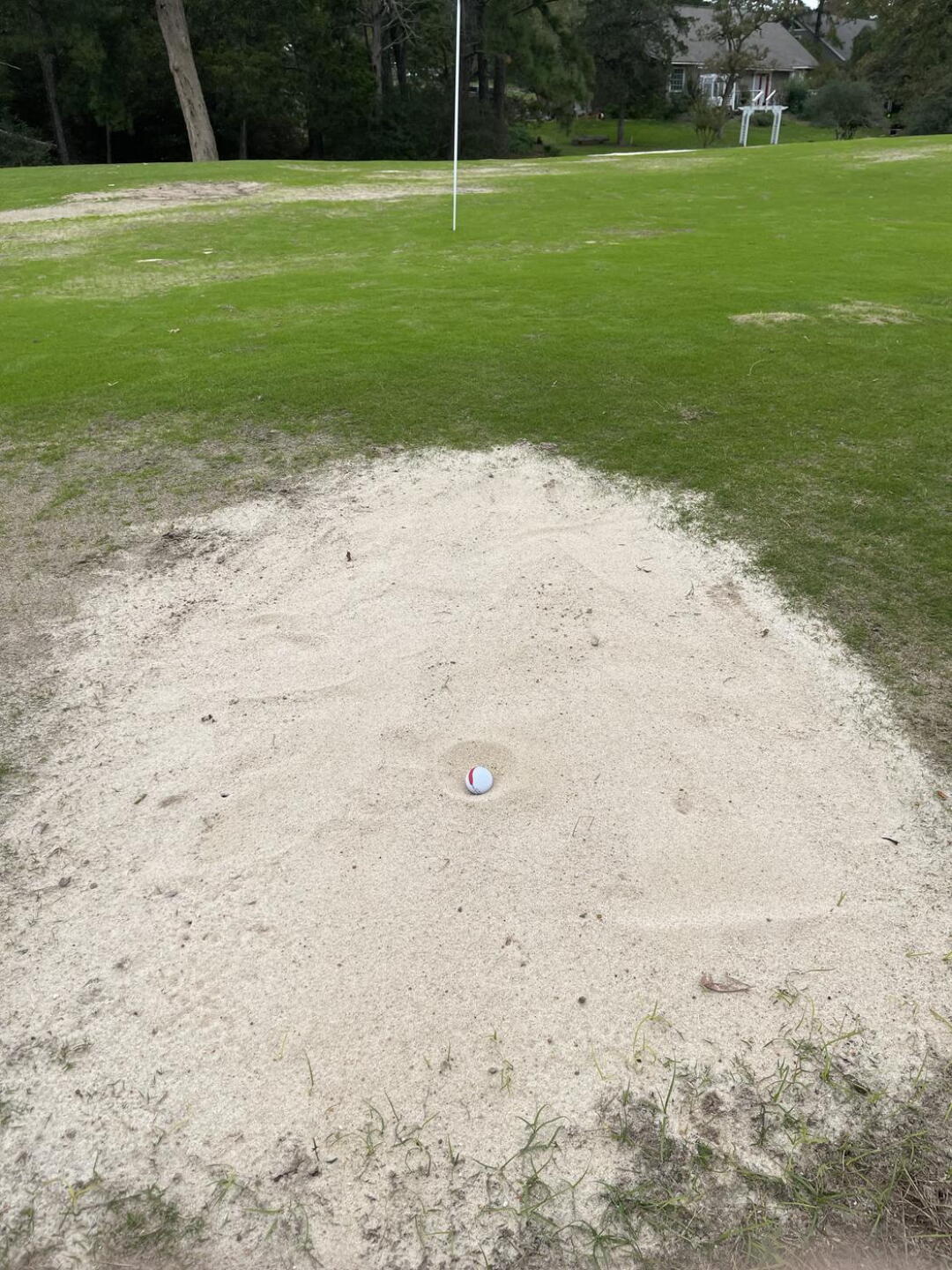 This was maybe the best green on the course for sure! (Photo submitted by u813027645 on 11/21/2023)