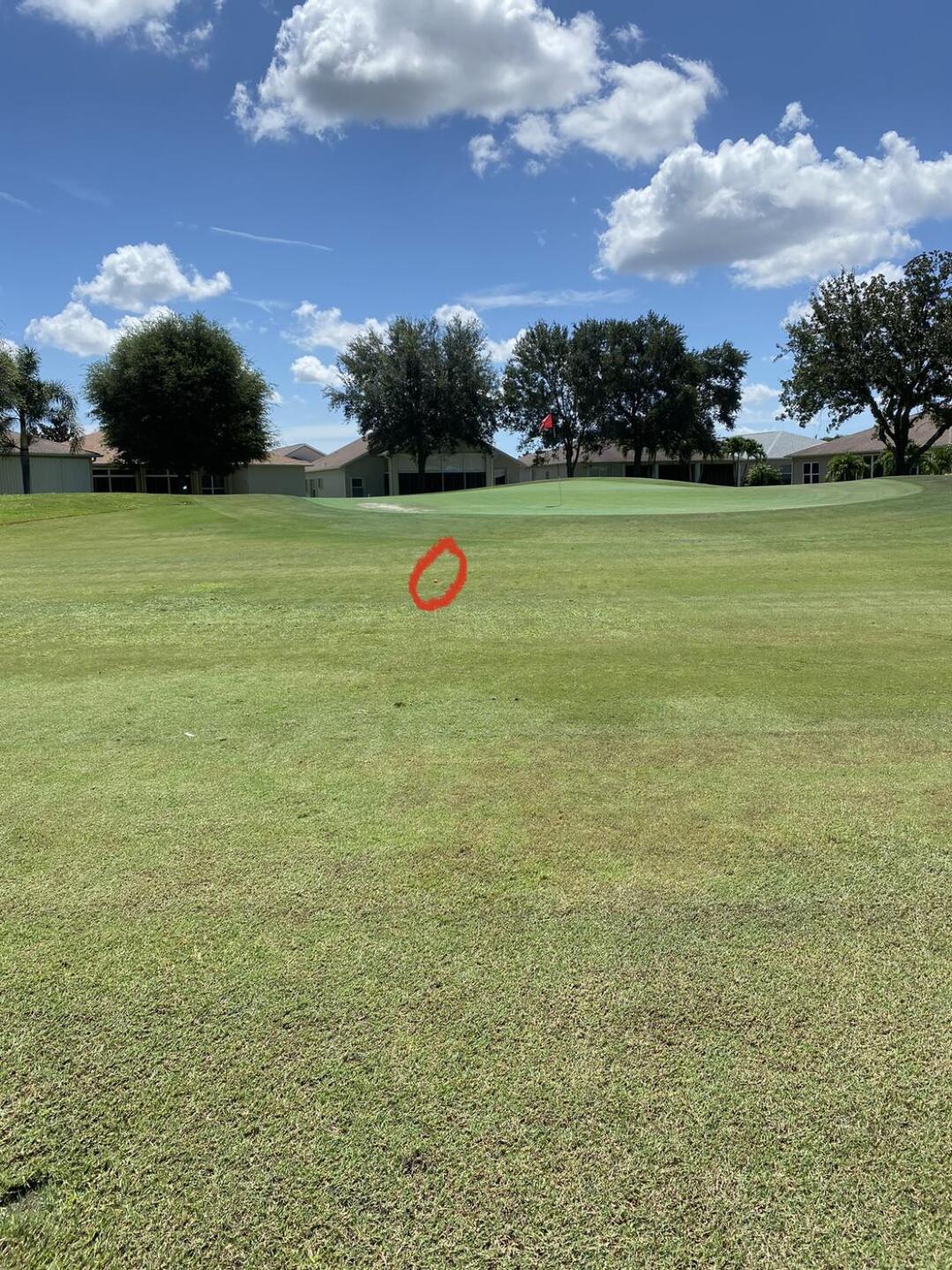 Almost!! (Photo submitted by u314162022723 on 08/07/2021)