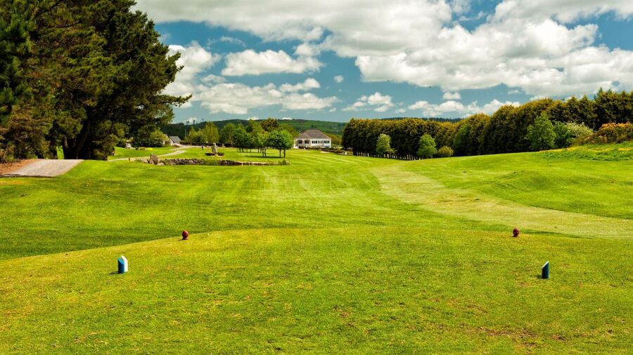 Carrick-on-Suir GC: #18
